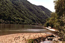 Obere Donau